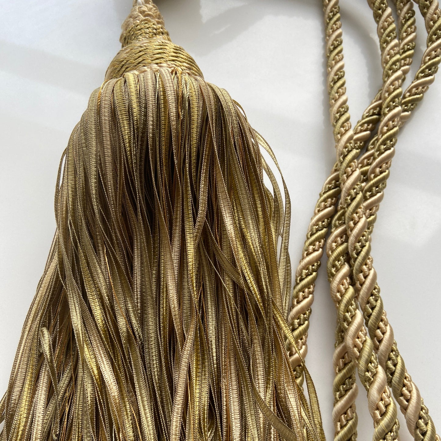 Interlude Standard Tieback by Jones Interiors