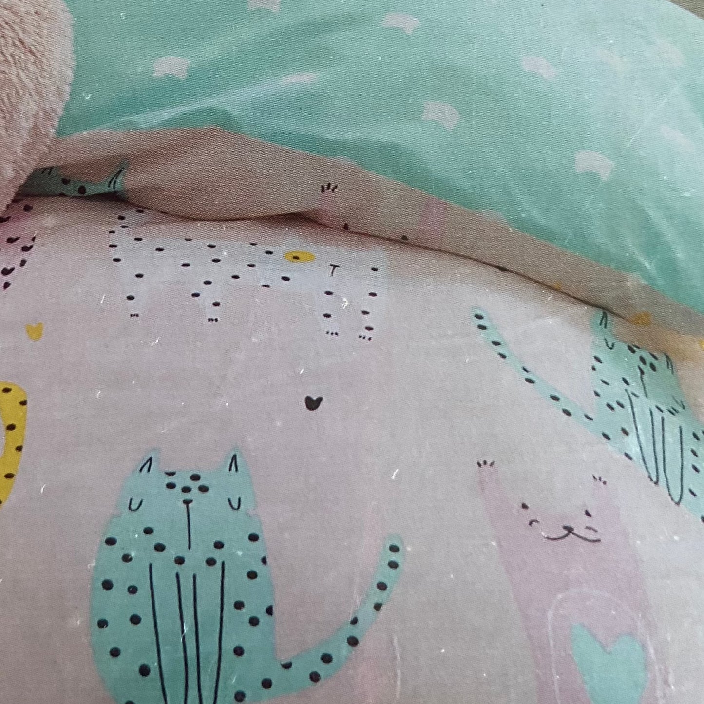 Cute Cats Fitted Sheet by Catherine Lansfield Kids