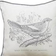 Bird Filled Cushion by Kirstie Allsopp